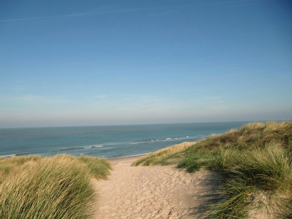 De Waterlelie Lägenhet Renesse Exteriör bild